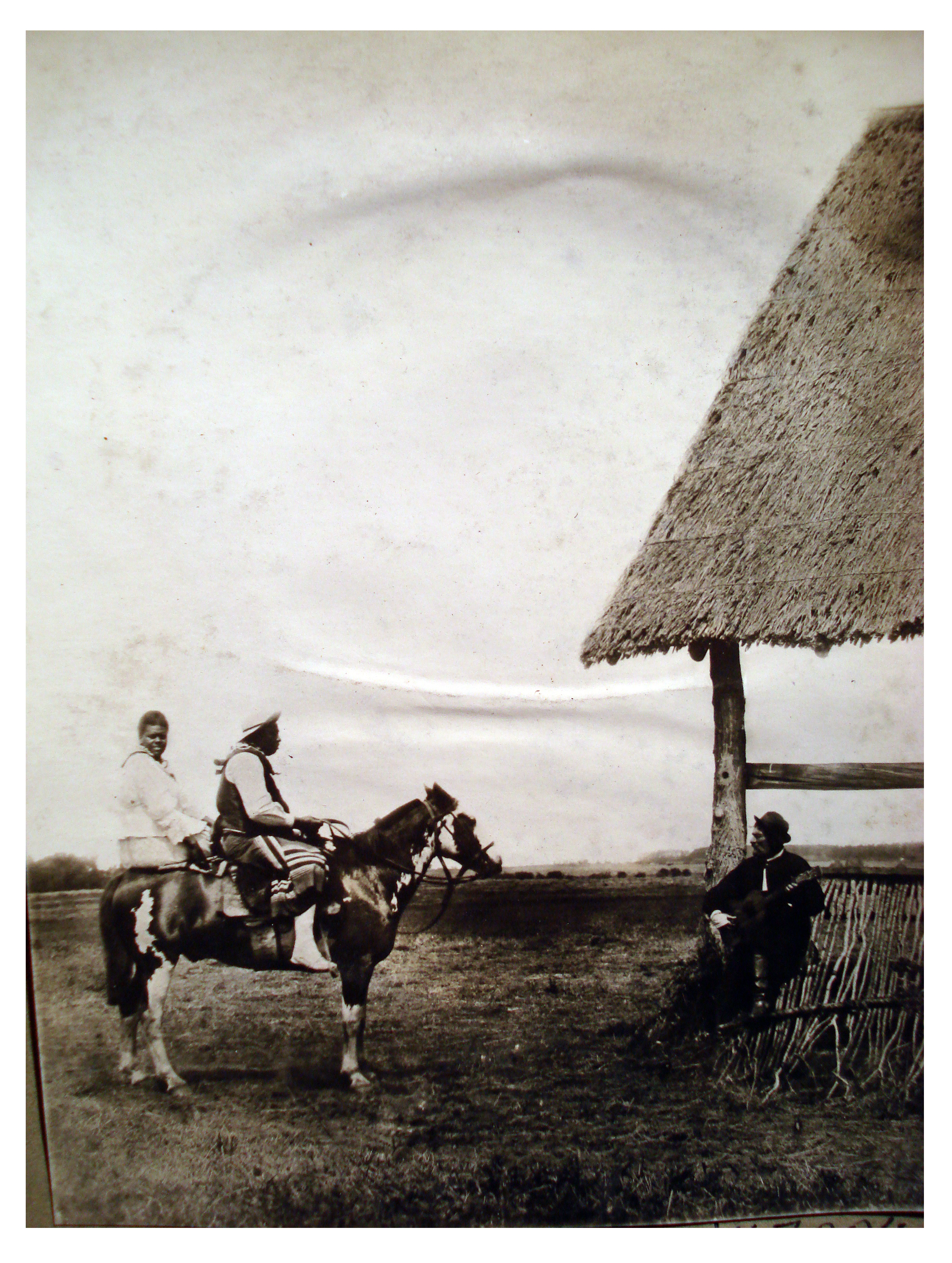 Gauchos