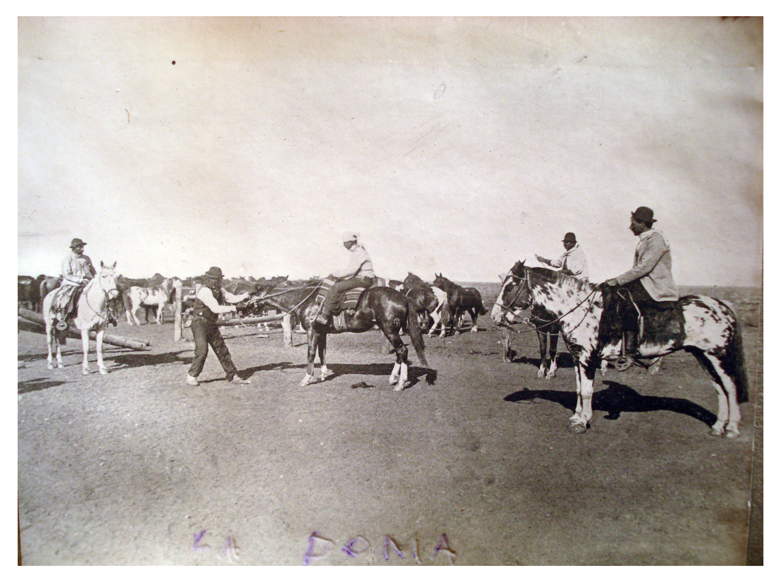 La doma