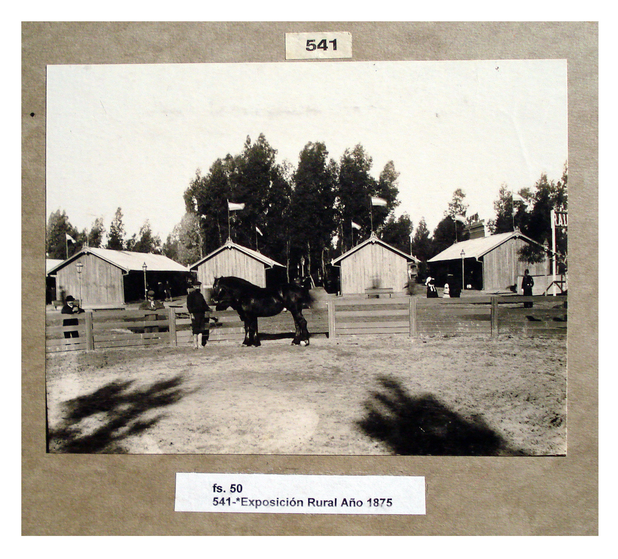 Exposición Rural