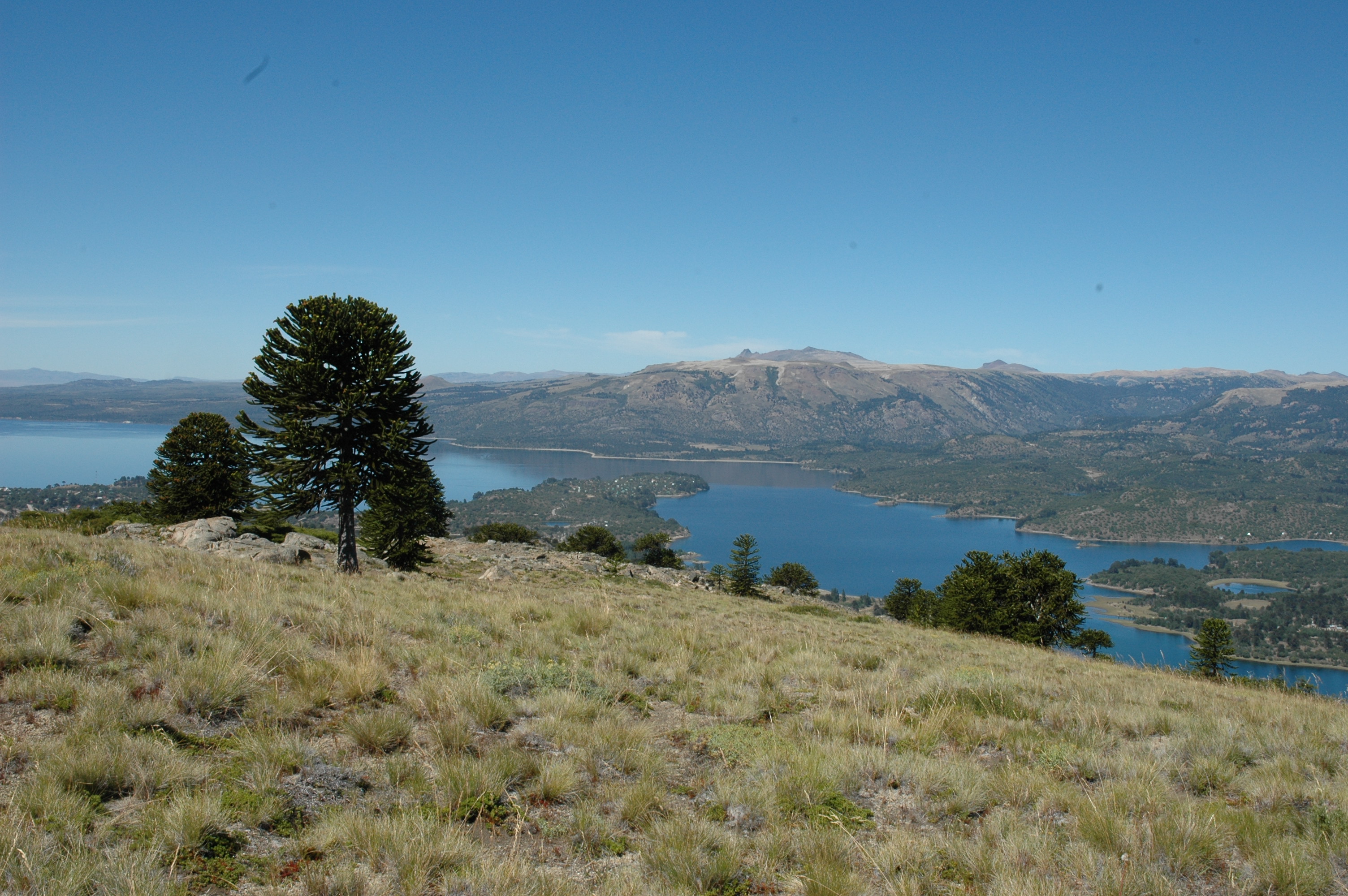 Lago Aluminé