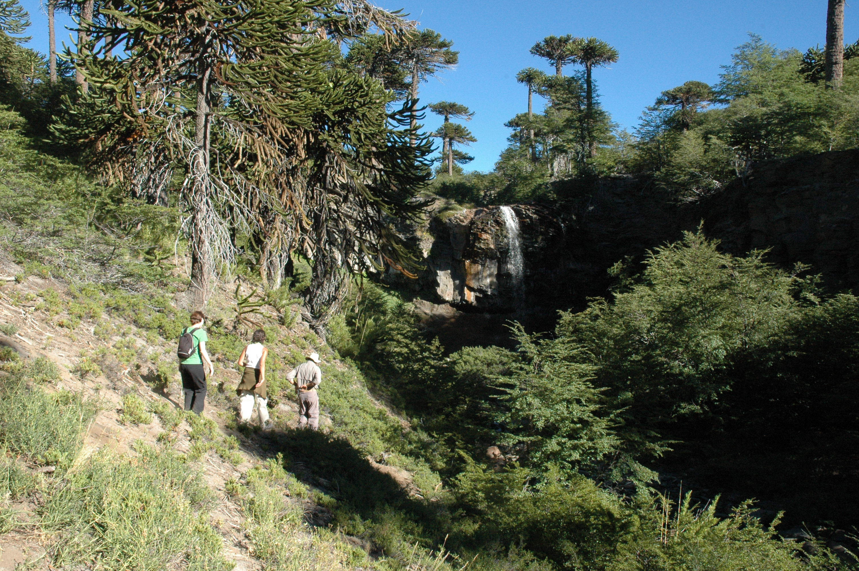 Turistas en Caviahue