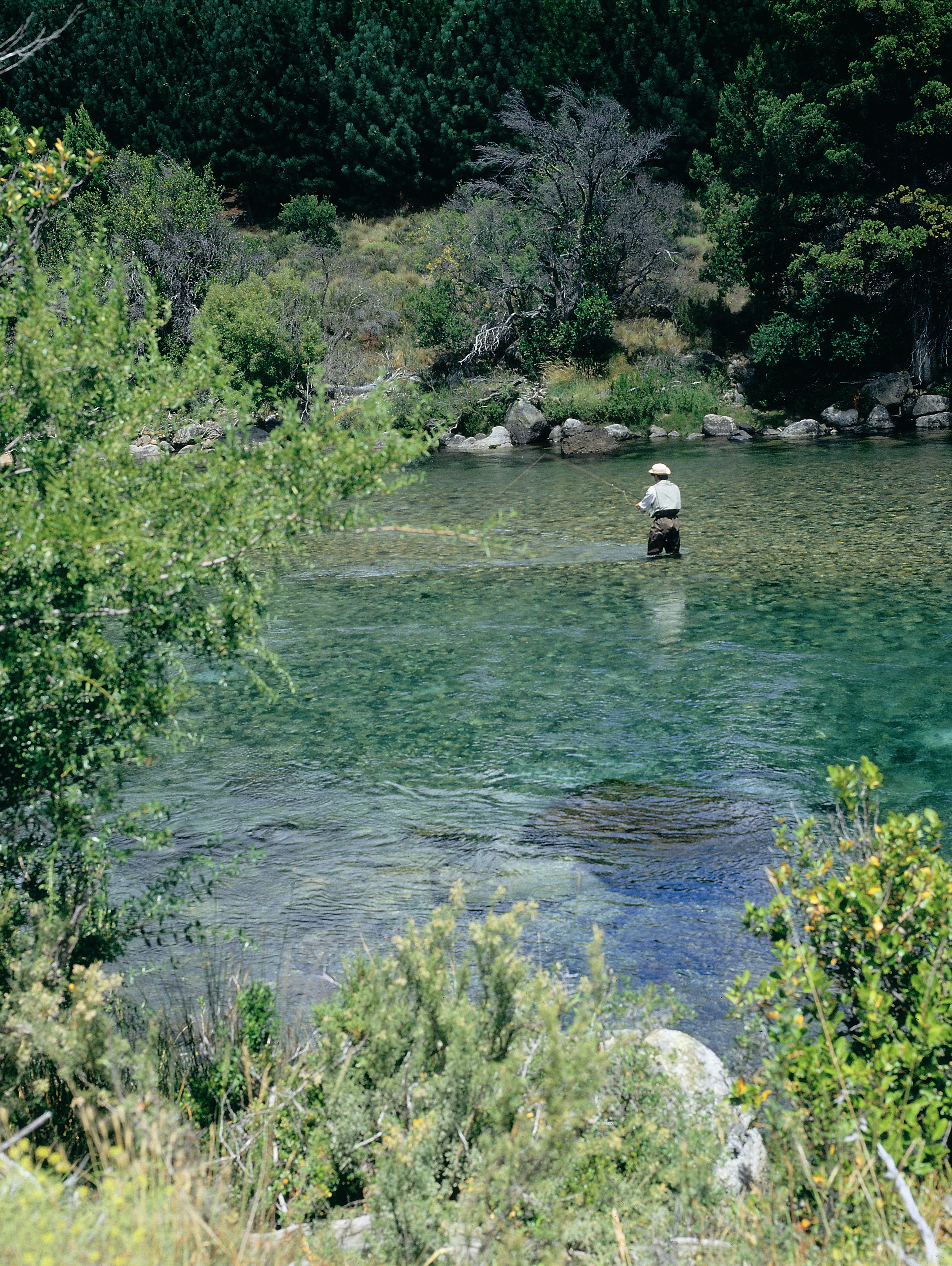 Pesca en el río Traful