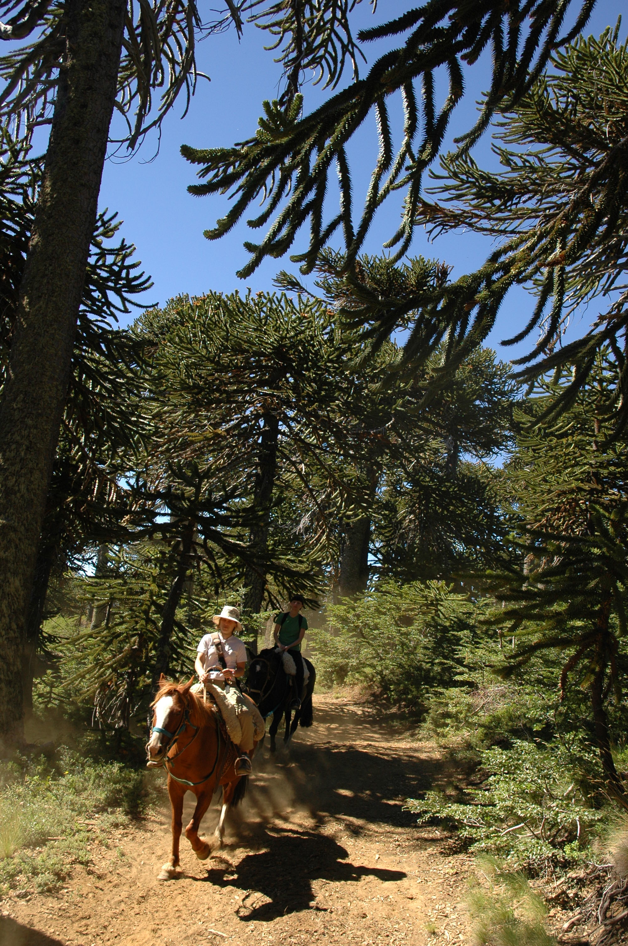 Cabalgata en Neuquén