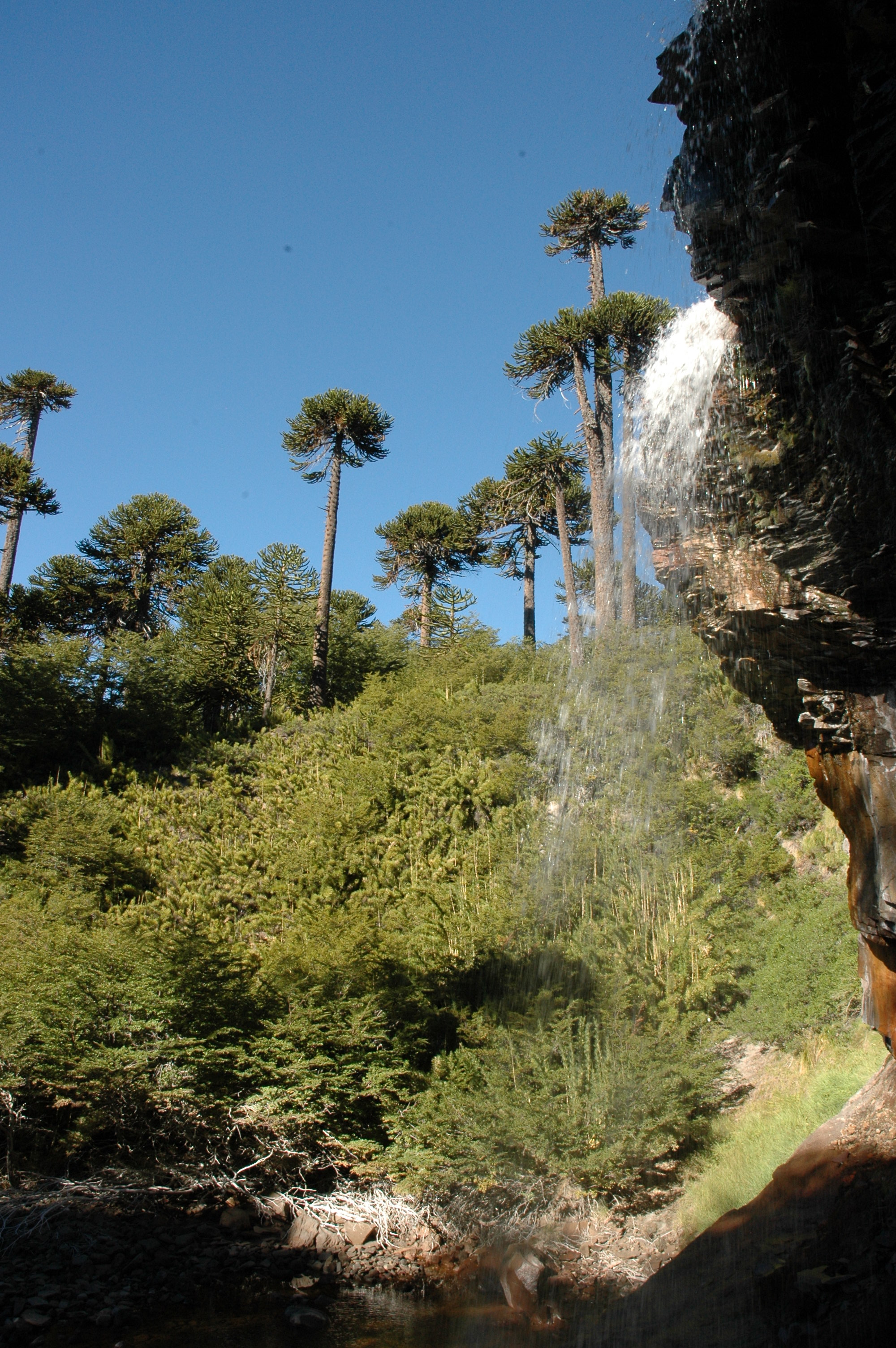 Cascada en Caviahue