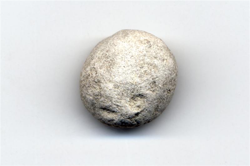 Porífero. Cretácico