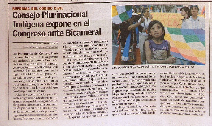 Consejo Plurinacional Indígena