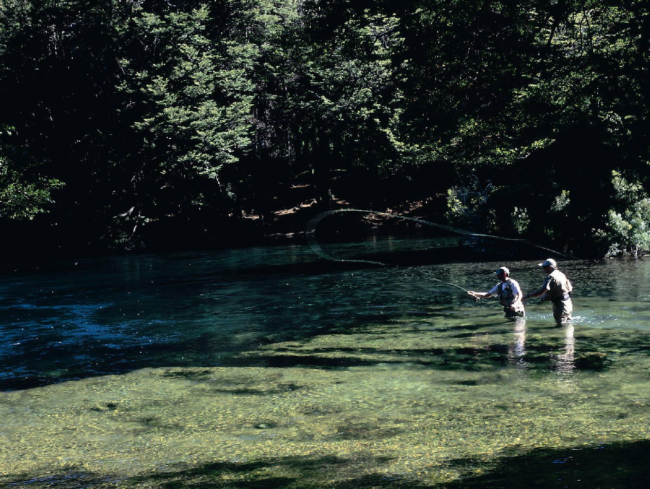 Pesca en el río Manso