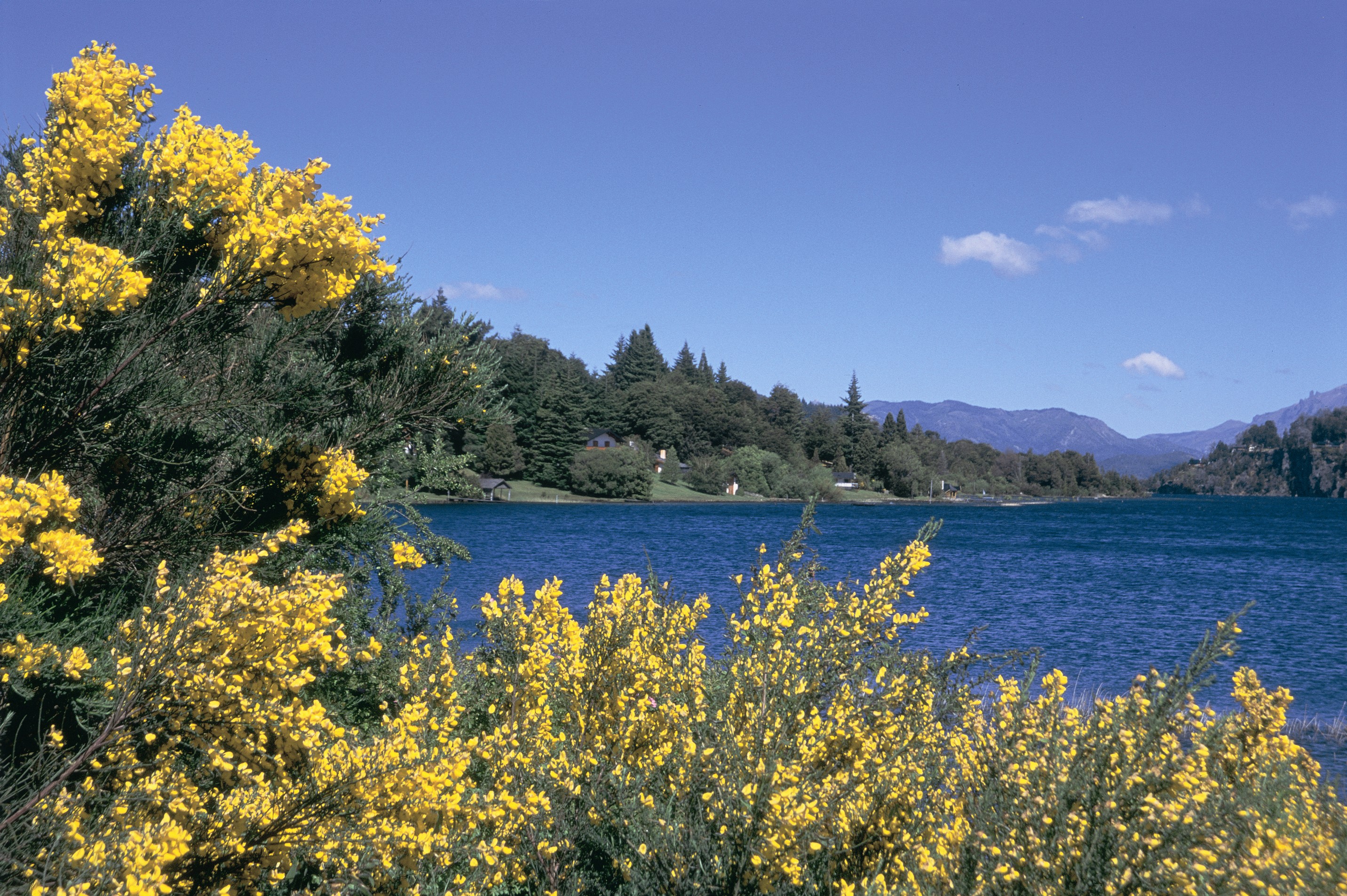 Lago Moreno