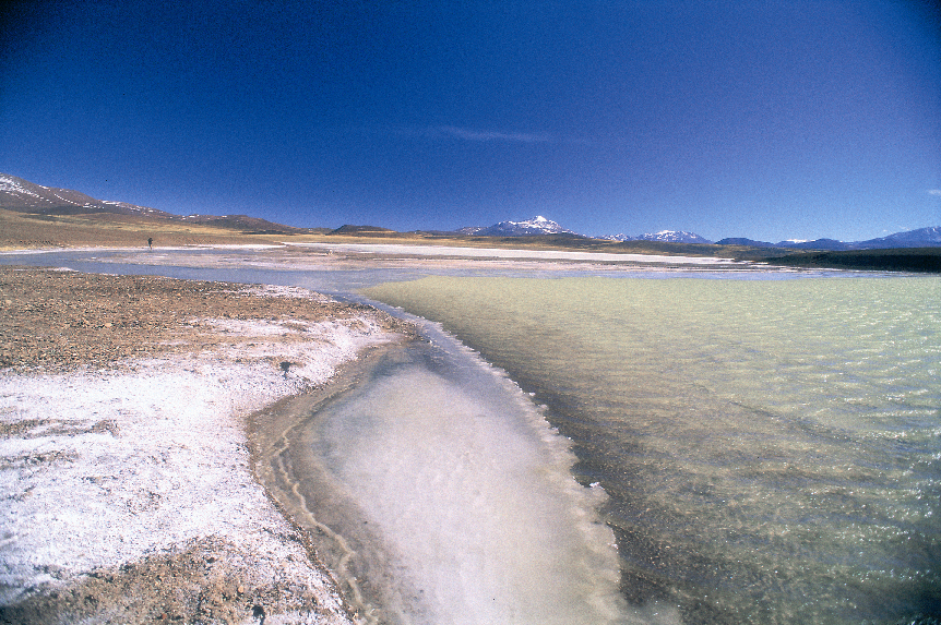 Laguna Brava