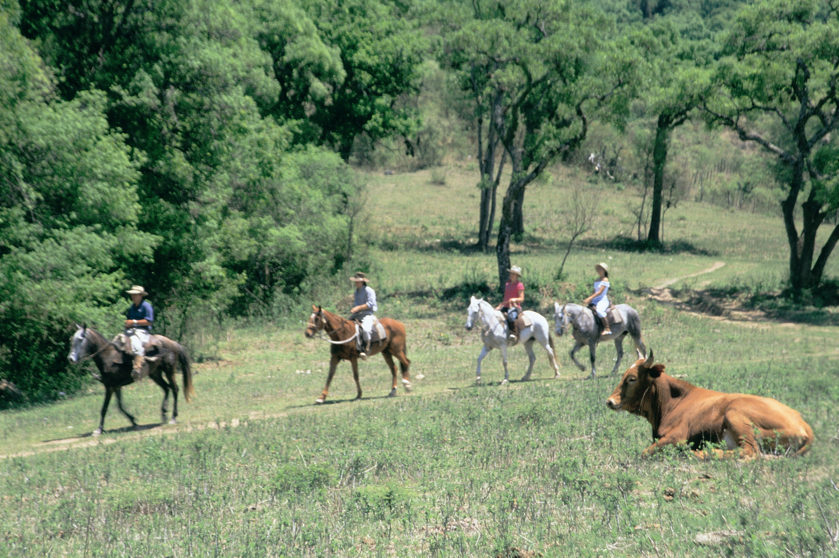 Cabalgata en San Lorenzo