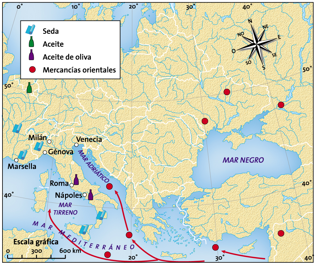 Núcleo meridional