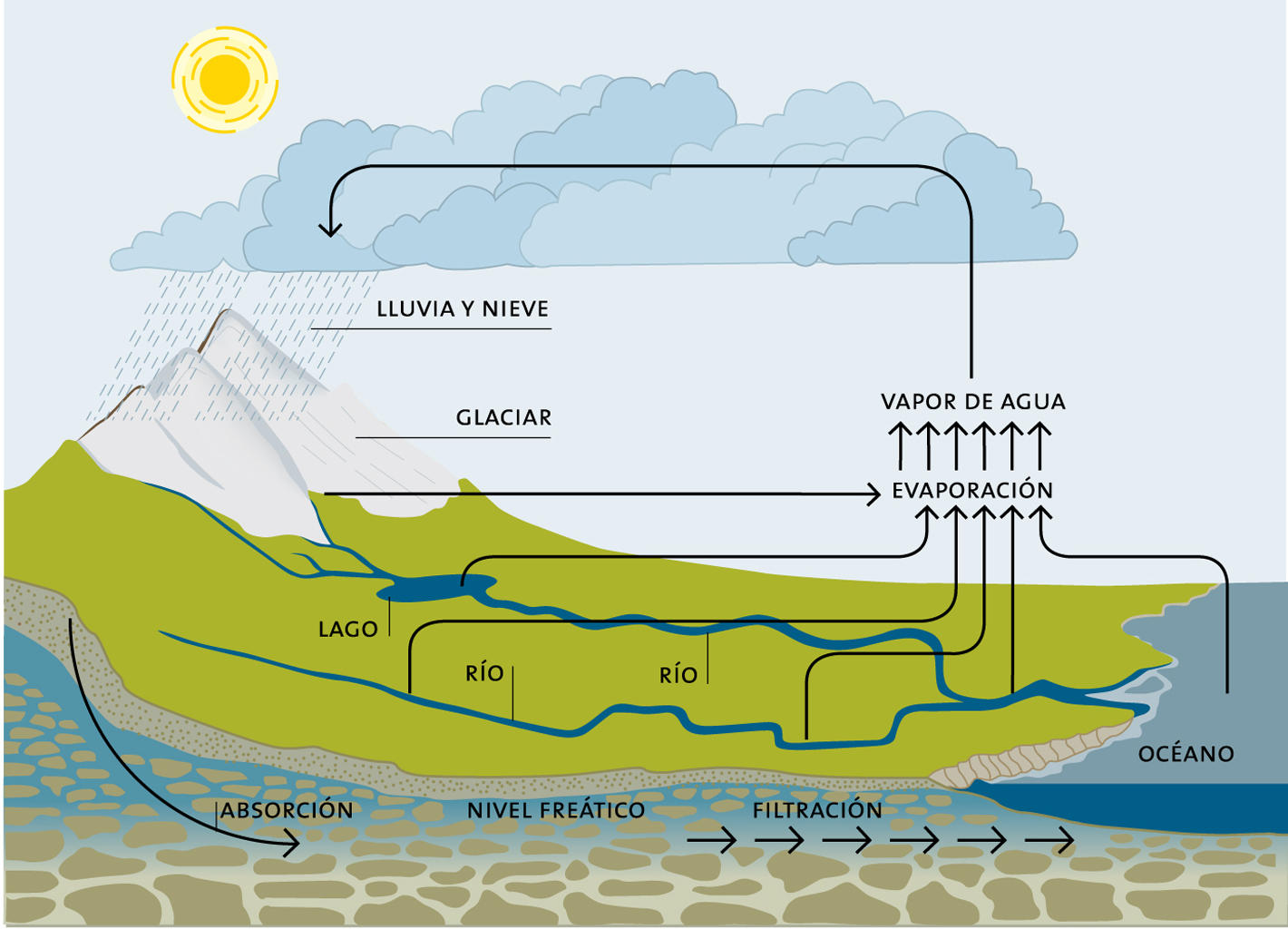 Ciclo del agua. Esquema