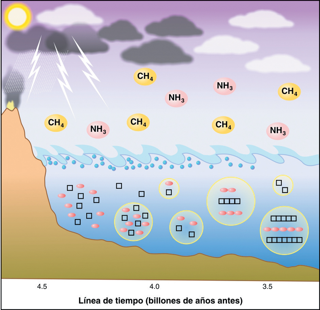 Evolución química en los orígenes de la vida