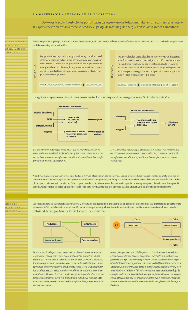 La materia y la energía en el ecosistema
