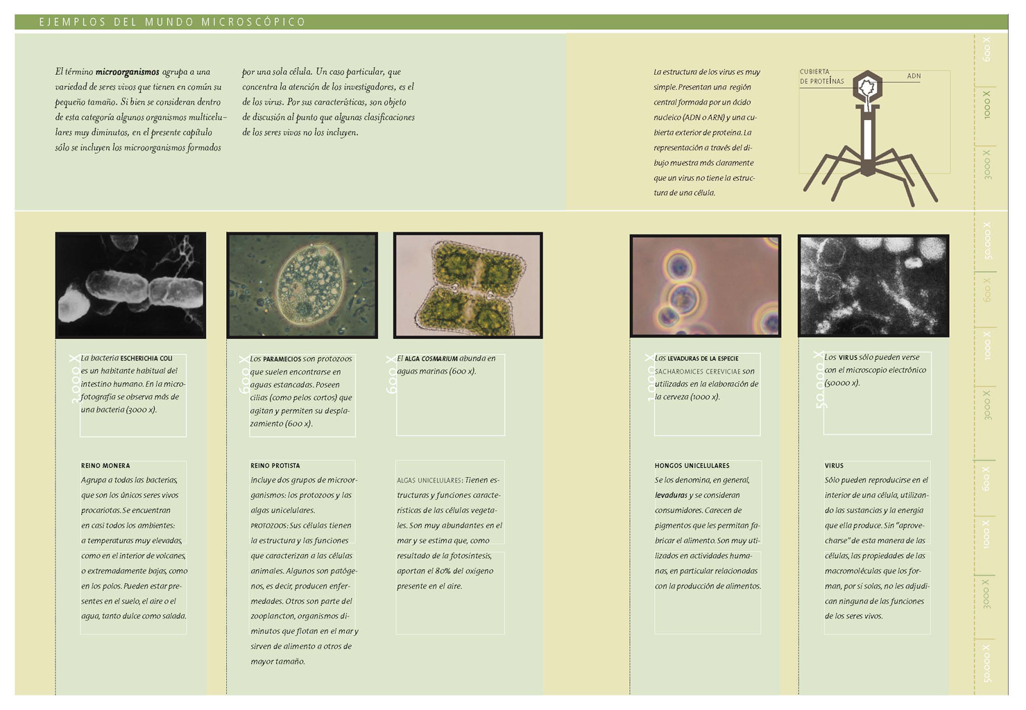 El mundo microscópico