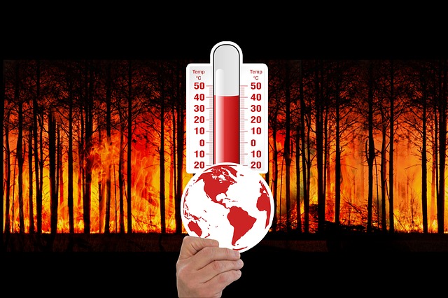 De fondo, un bosque en llamas. Adelante, una mano sostiene una imagen de la Tierra y un termómetro con temperatura elevada.