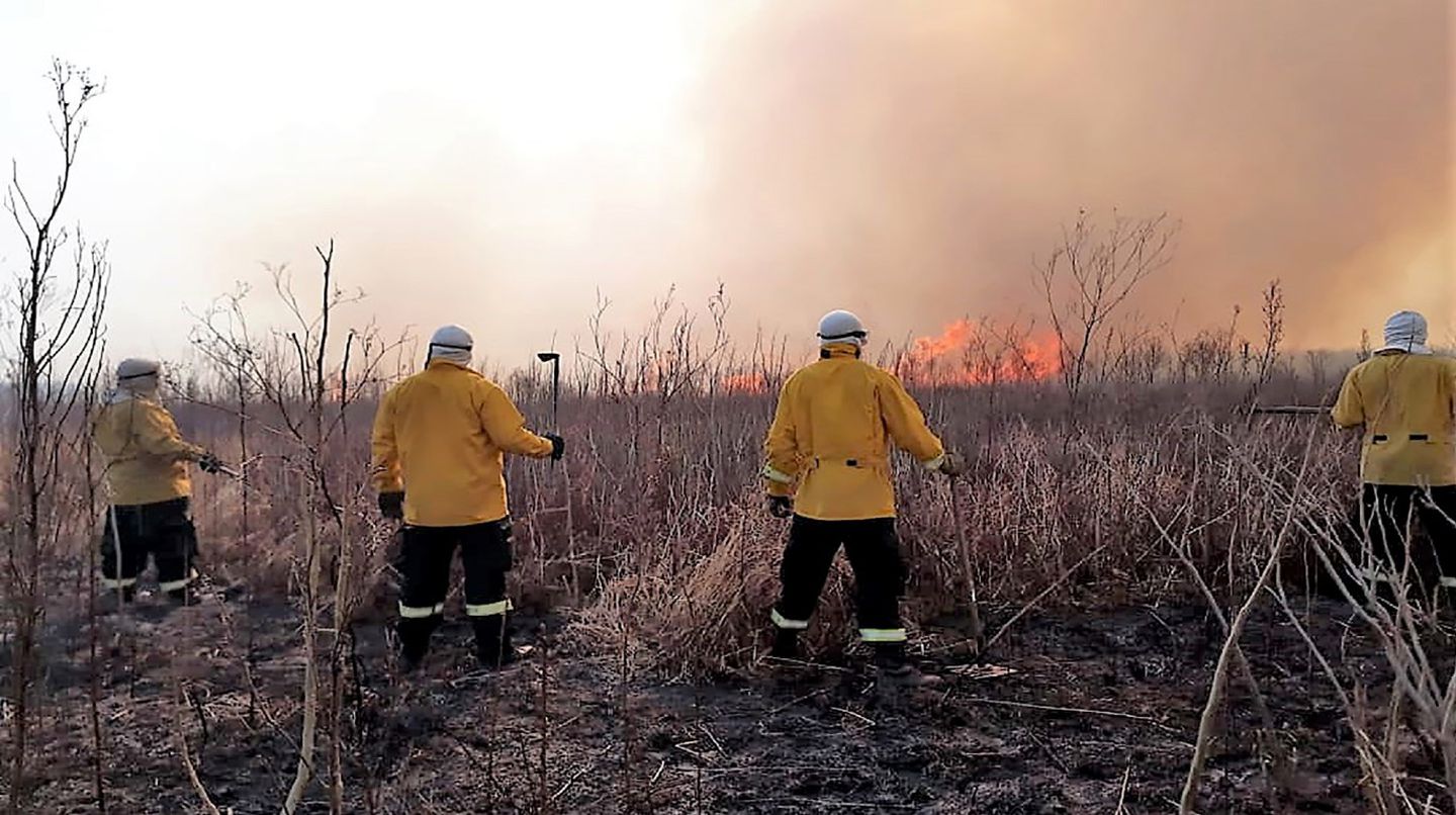 Cuatro bomberos de pie ante la vegetación quemada. Al fondo, se ven las llamas.