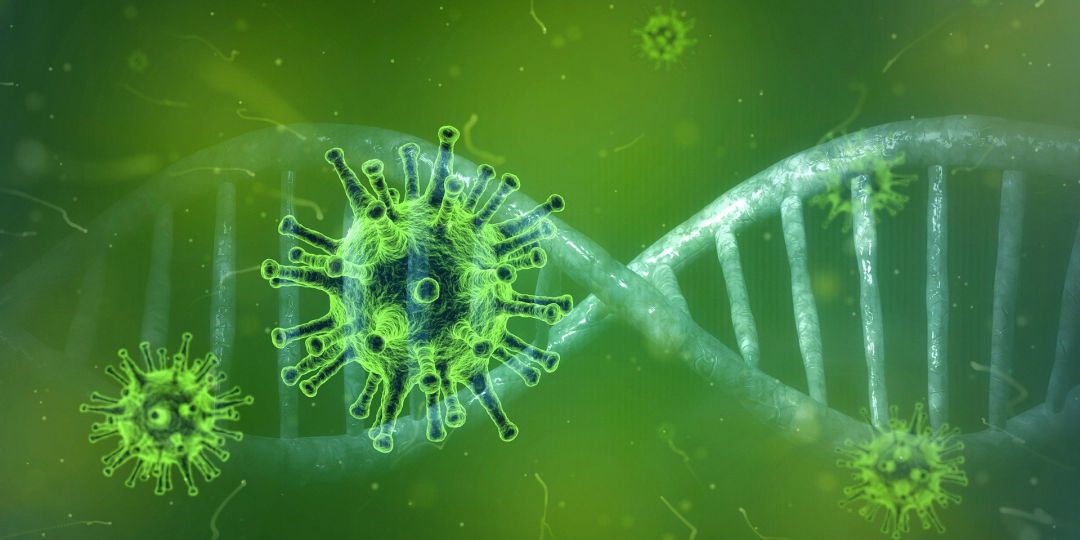 Varios coronavirus y, de fondo, la espiral del ADN.