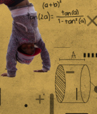 widget image
