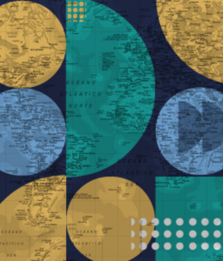 widget image