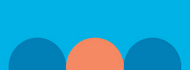 widget image