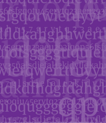 widget image