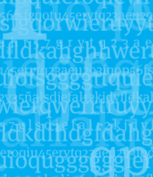 widget image