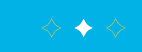 widget image