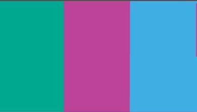 widget image