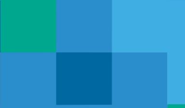 widget image
