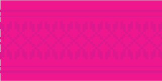 widget image
