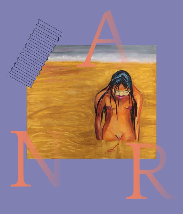 widget image