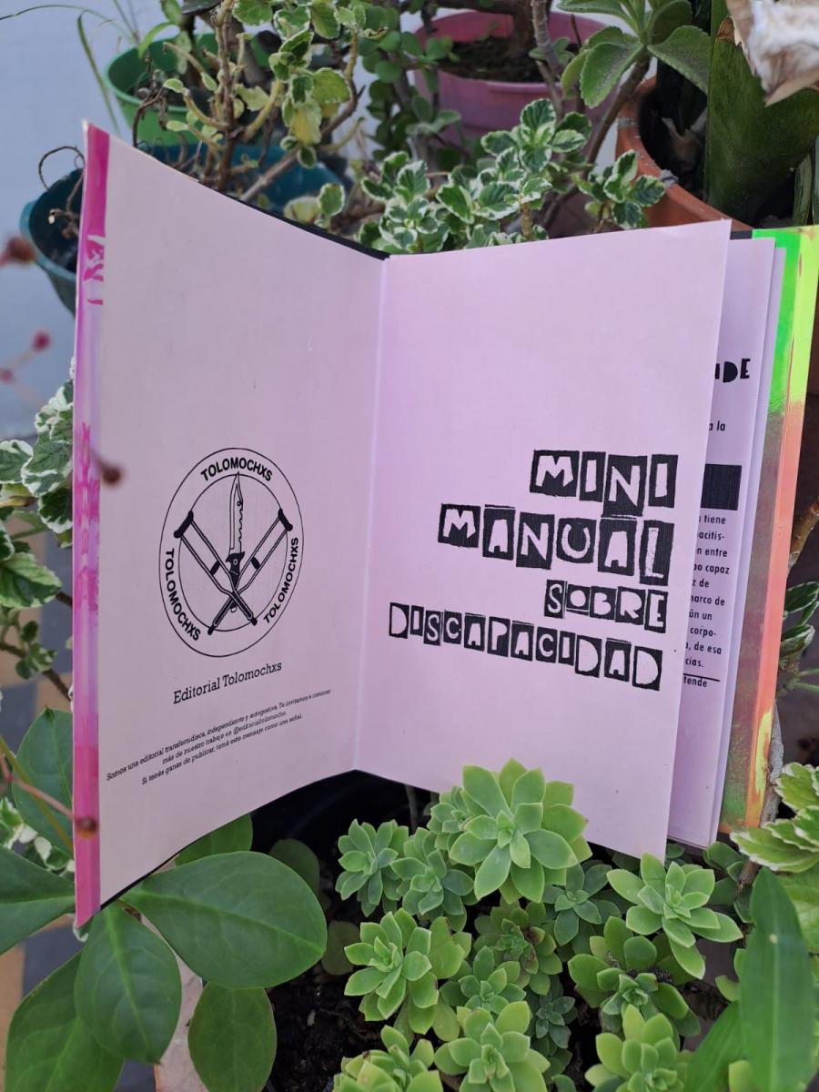 Fanzine titulado «Mini manual sobre discapacidad» de Editorial Tolomochxs.