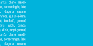 widget image
