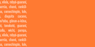 widget image