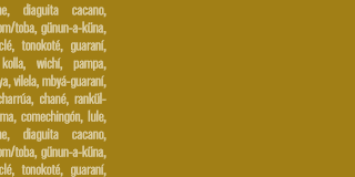 widget image