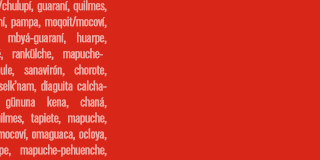 widget image