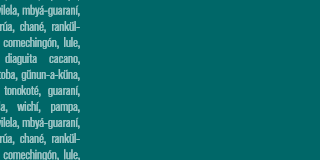 widget image