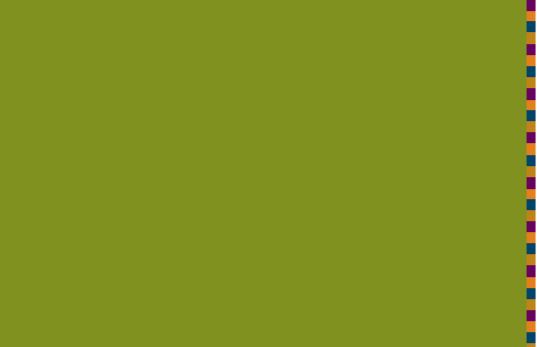widget image