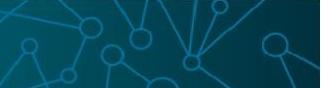 widget image