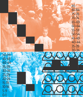 widget image