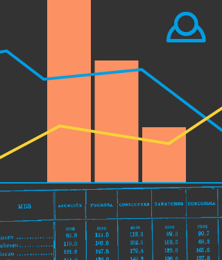 widget image