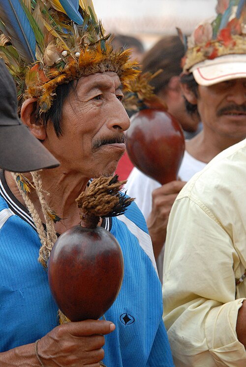 Manifestación de pueblos originarios