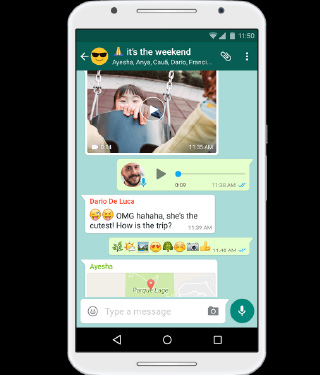widget image