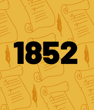 widget image