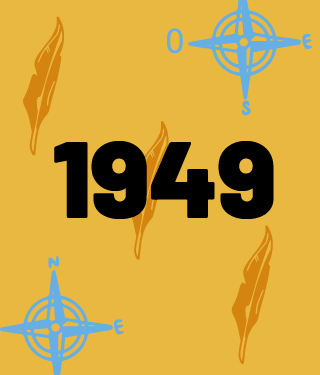 widget image