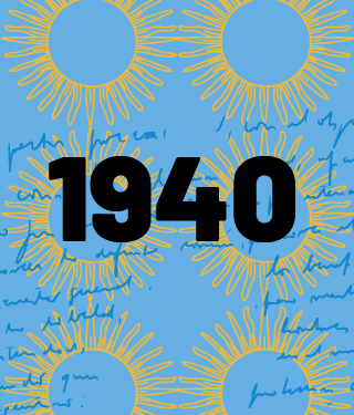 widget image