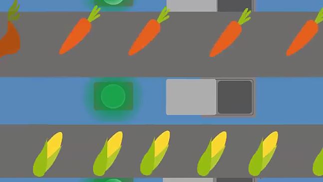 widget image
