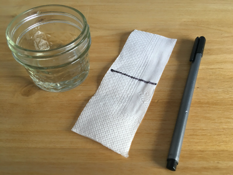 Un frasco de vidrio con 1 cm de agua, un rectángulo de papel de servilleta con una línea horizontal dibujada en su centro y una fibra negra.