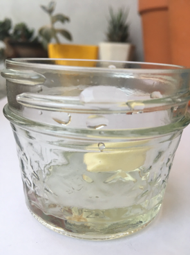 Adentro de un vaso de vidrio, un diente de ajo pelado y con una ¼ parte cubierta de agua.